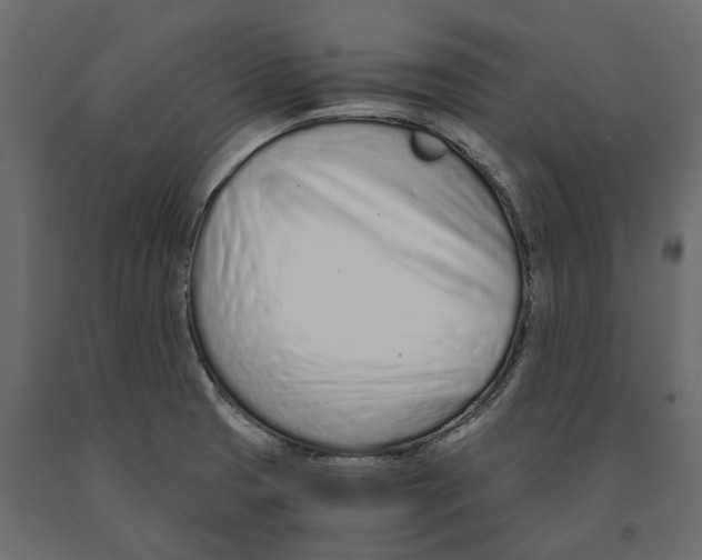 X0000090921425200708271016