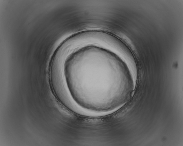 X0000090921427200708271016