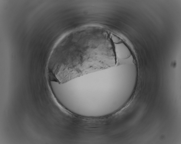 X0000090921429200708271016