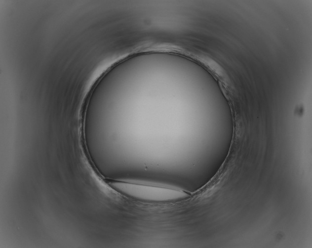 X0000090921430200708271016