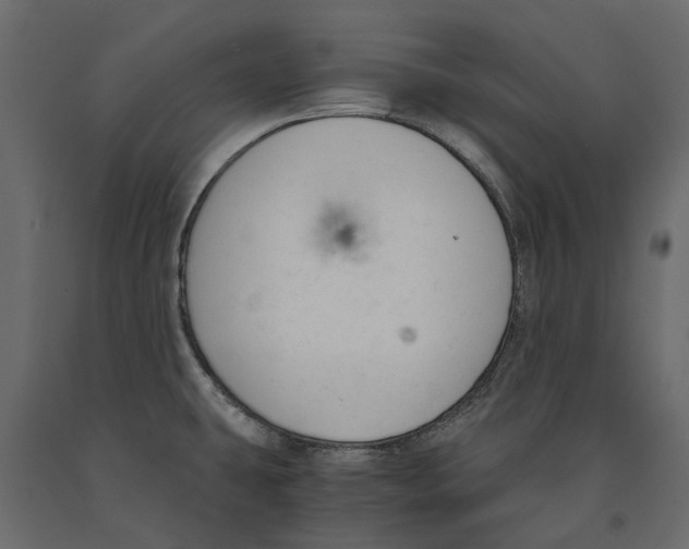 X0000090921431200708271016