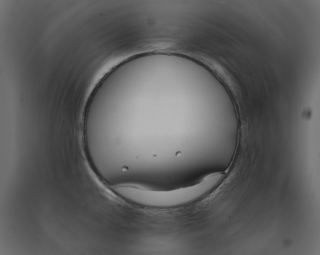 X0000090921432200708271016