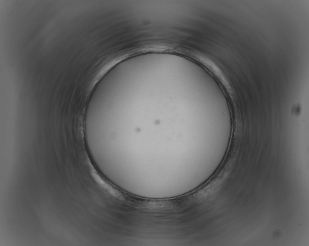 X0000090921433200708271016