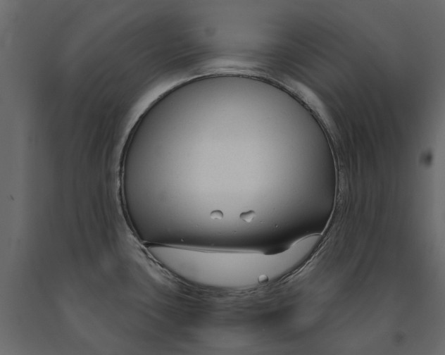 X0000090921435200708271016