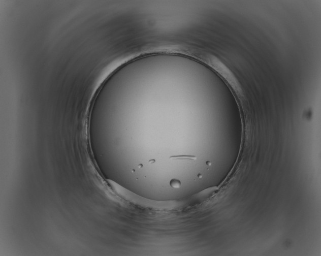 X0000090921436200708271016