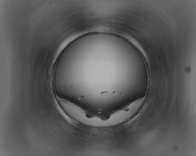 X0000090921437200708271016