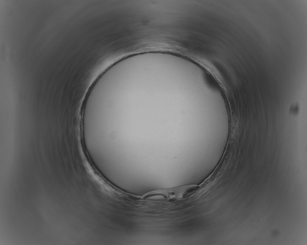 X0000090921439200708271016