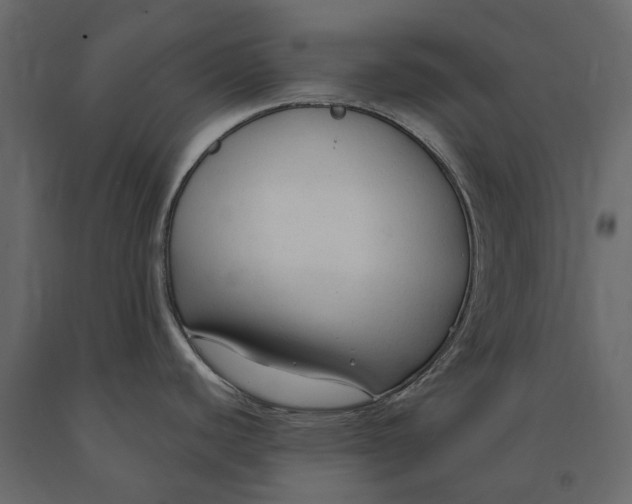 X0000090921440200708271016