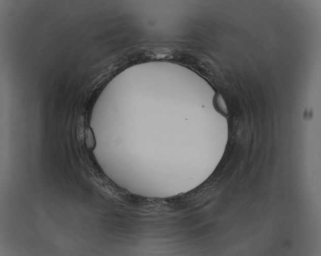 X0000090921442200708271015