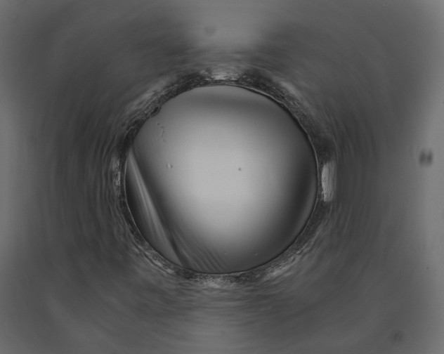 X0000090921443200708271015