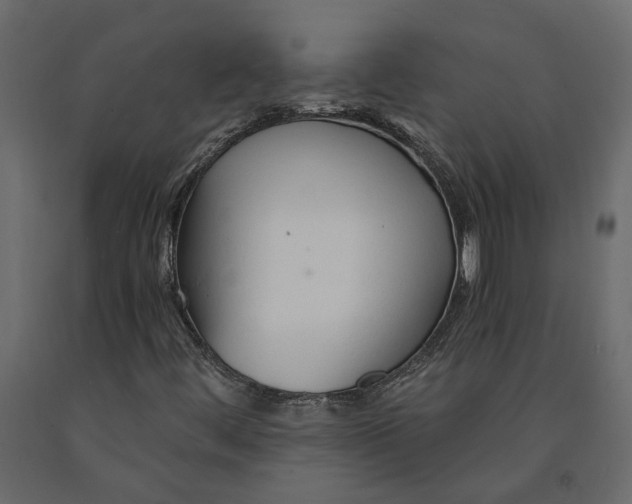 X0000090921444200708271015