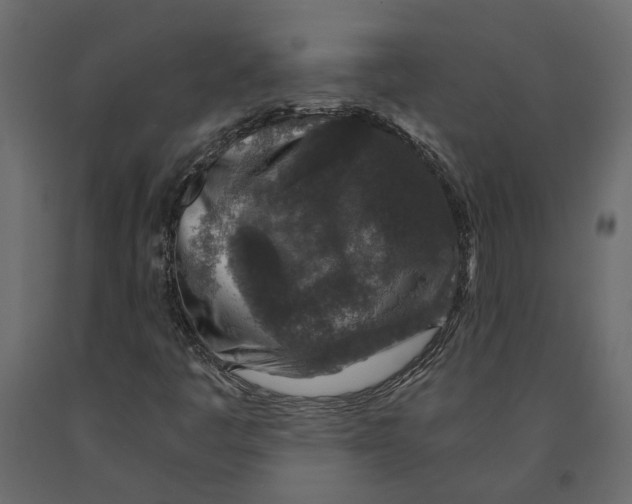 X0000090921445200708271015