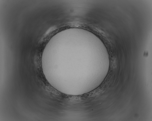 X0000090921446200708271015