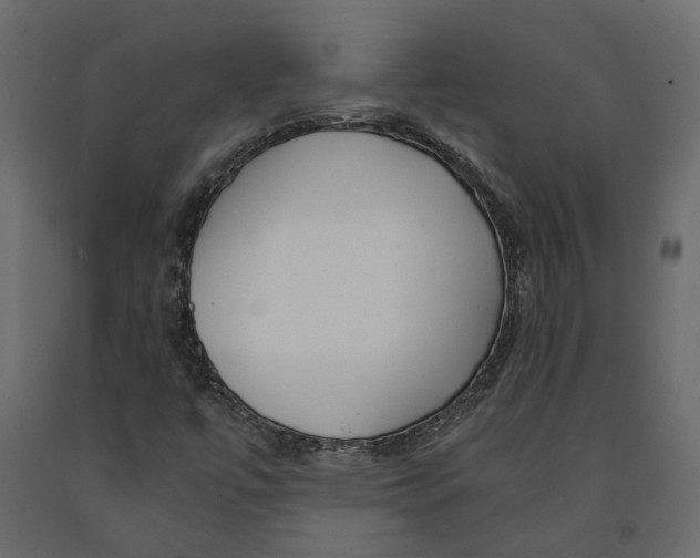 X0000090921447200708271015