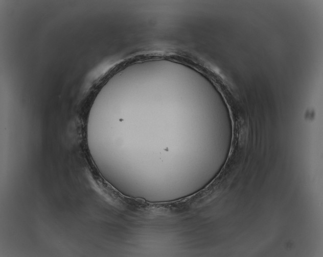 X0000090921448200708271015