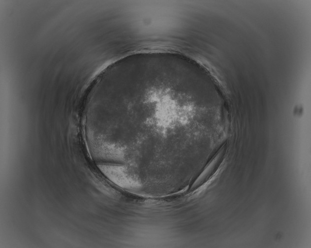 X0000090921449200708271015