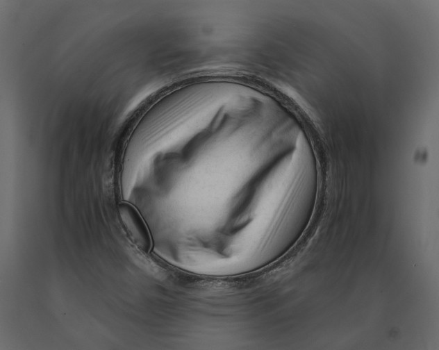 X0000090921450200708271015