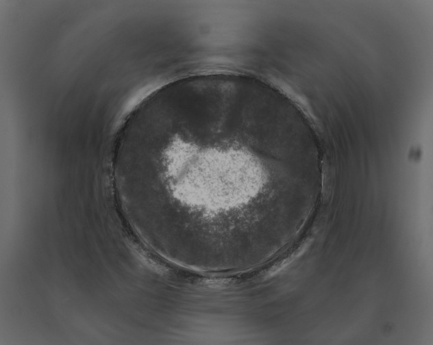 X0000090921453200708271015