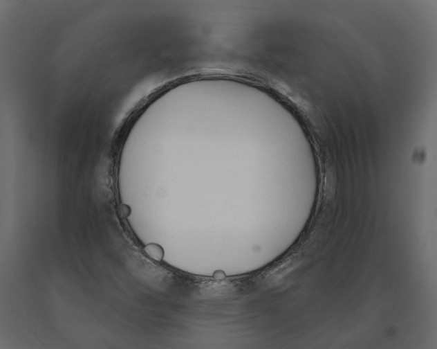 X0000090921454200708271015