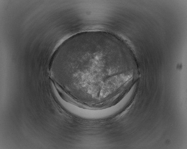 X0000090921457200708271015