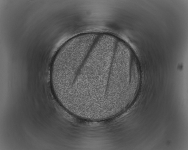 X0000090921459200708271015