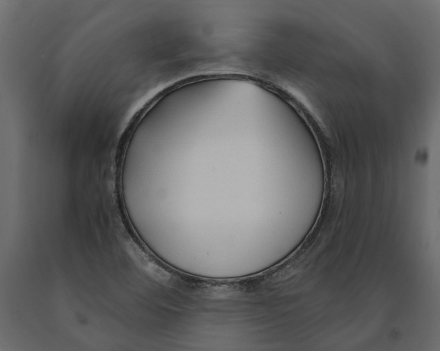 X0000090921460200708271015