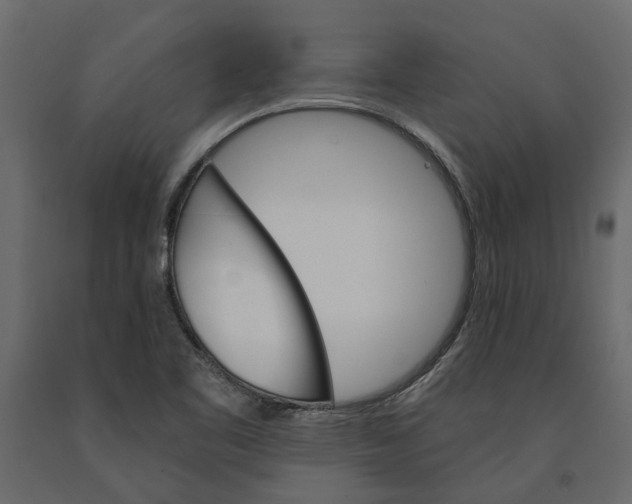 X0000090921461200708271015