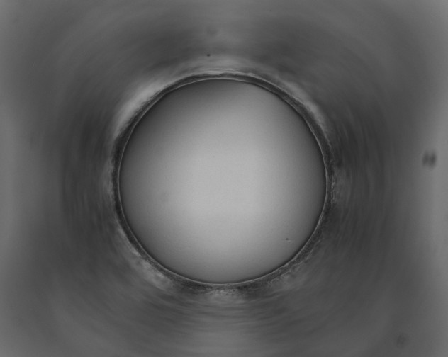 X0000090921464200708271015