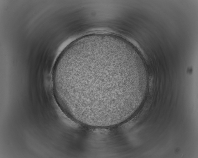 X0000090921466200708271015