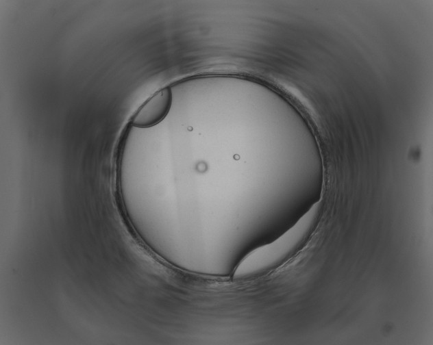 X0000090921467200708271015