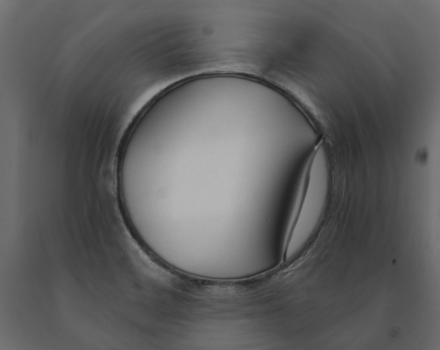 X0000090921468200708271015