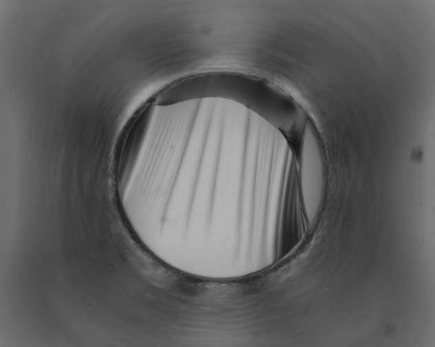 X0000090921469200708271015