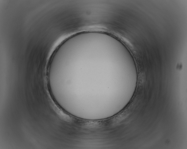 X0000090921470200708271015