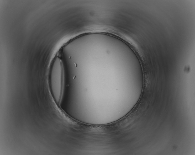 X0000090921472200708271015