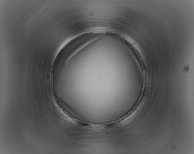 X0000090921473200708271015