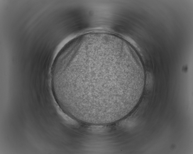 X0000090921474200708271015