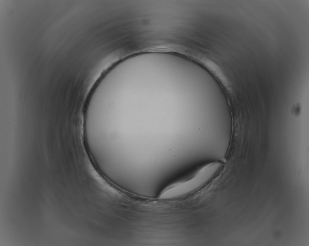 X0000090921476200708271015