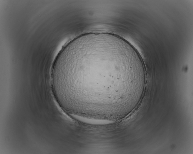 X0000090921477200708271015