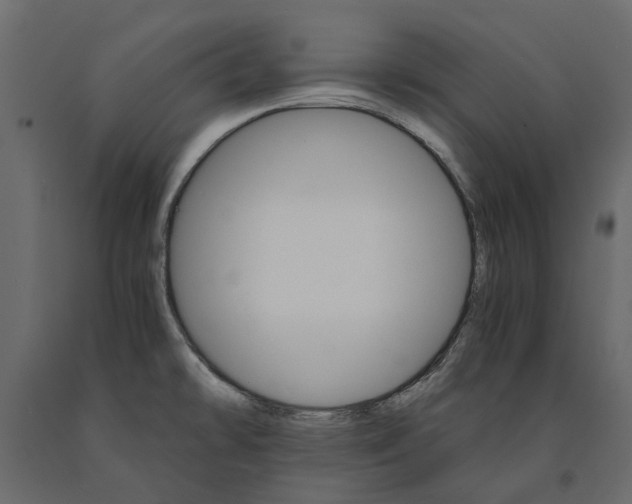 X0000090921478200708271015