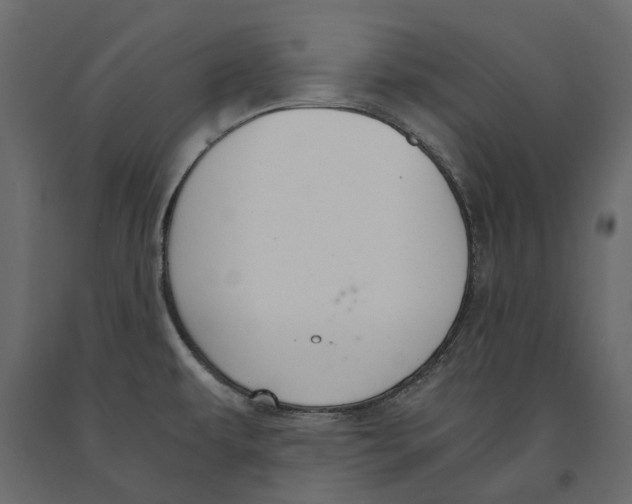 X0000090921479200708271015