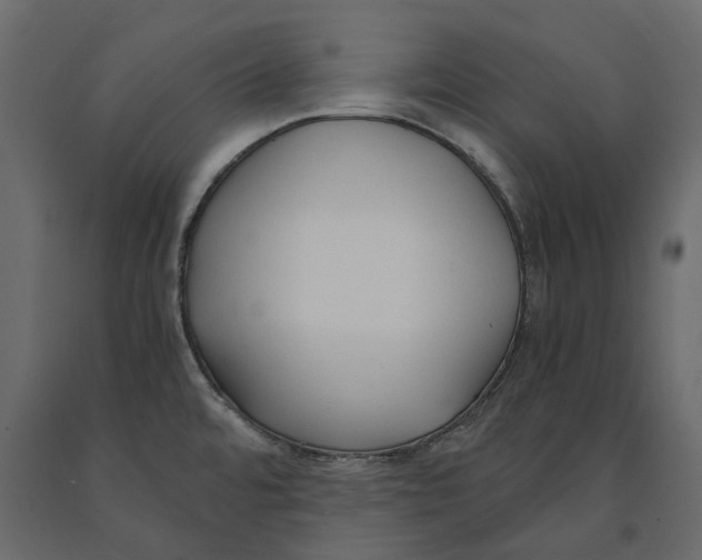 X0000090921480200708271015