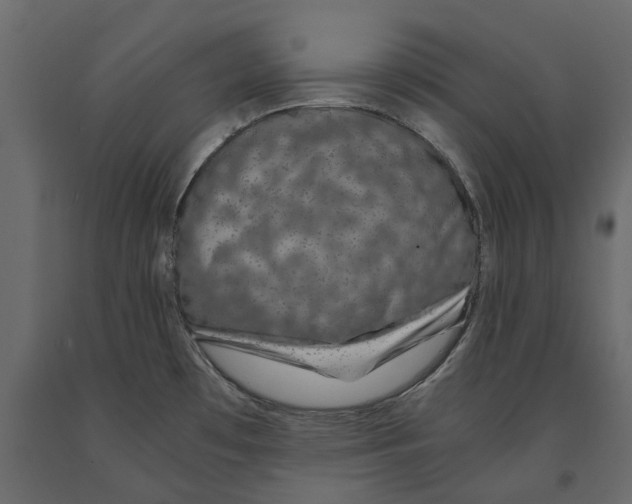 X0000090921481200708271015