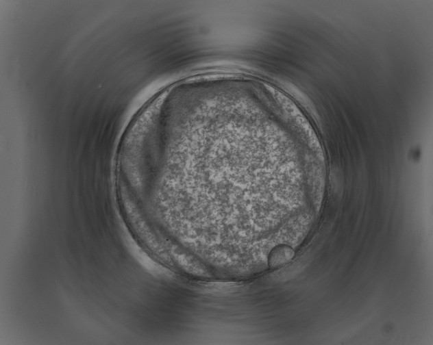 X0000090921482200708271015