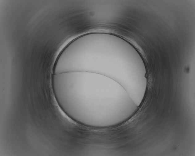 X0000090921484200708271015