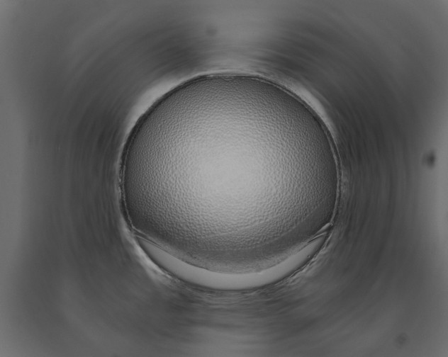 X0000090921485200708271015