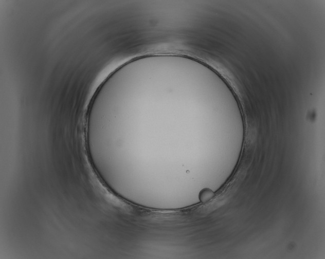 X0000090921486200708271015