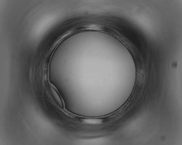 X0000090921487200708271015