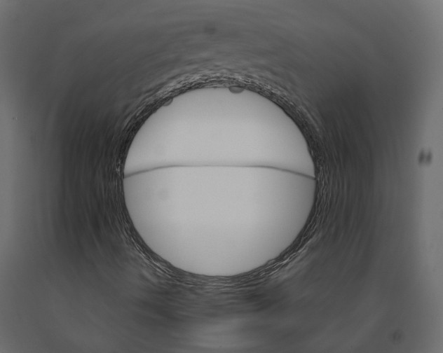 X0000090921490200708271014