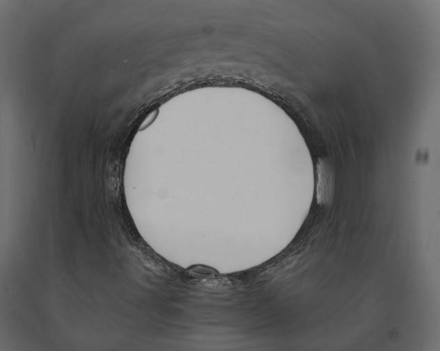 X0000090921491200708271014