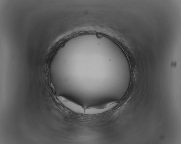 X0000090921494200708271014